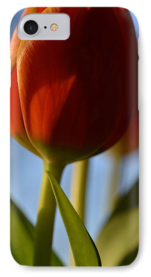 Tulips iPhone 7 Case featuring the photograph Contrast by Corinne Rhode