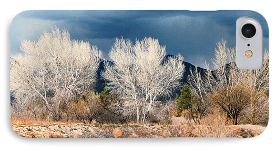 Trees iPhone 7 Case featuring the photograph Cottonwoods in Winter by M Diane Bonaparte