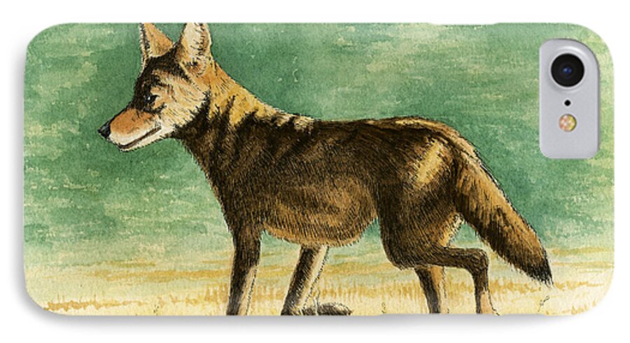 Coyote iPhone 7 Case featuring the drawing Coyote by Timothy Livingston