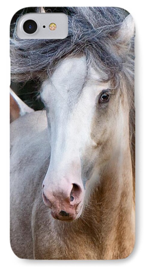 Horse iPhone 7 Case featuring the photograph Crazy Hair by Sharon Jones