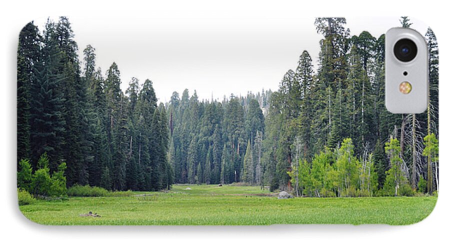 Sequoia National Park iPhone 7 Case featuring the photograph Crescent Meadow by Kyle Hanson