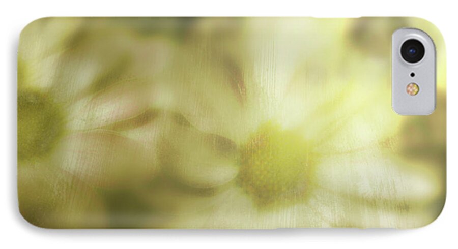  iPhone 7 Case featuring the photograph Daisies by Gray Artus