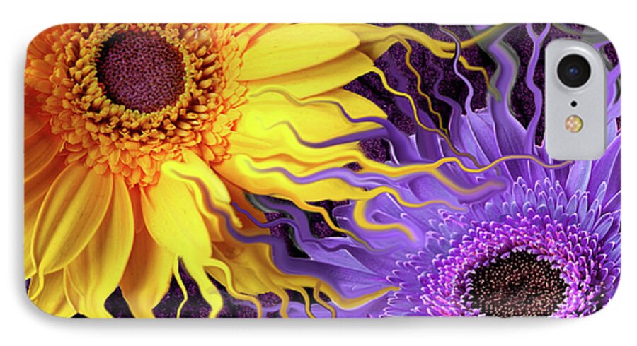 Flowers iPhone 7 Case featuring the painting Daisy Yin Daisy Yang by Christopher Beikmann