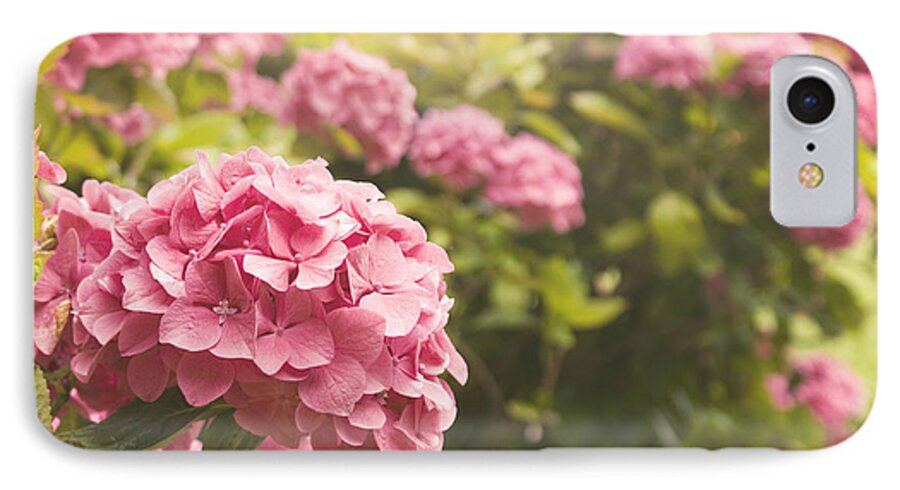 Hydrangea iPhone 7 Case featuring the photograph Dark pink hydrangea by Cindy Garber Iverson