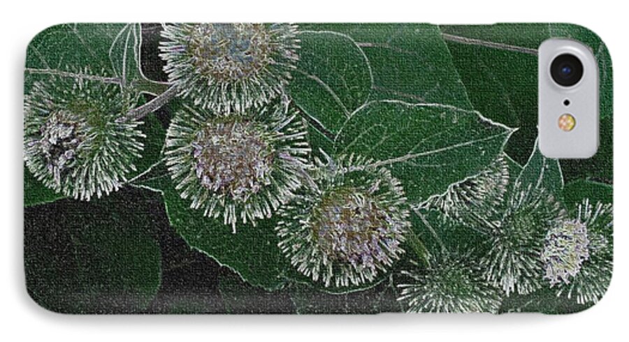  Kathie Chicoine iPhone 7 Case featuring the photograph Dark Thistles by Kathie Chicoine