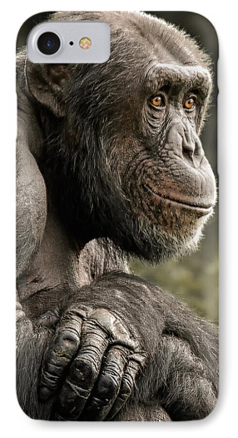 Chimp iPhone 7 Case featuring the photograph Dave by Chris Boulton