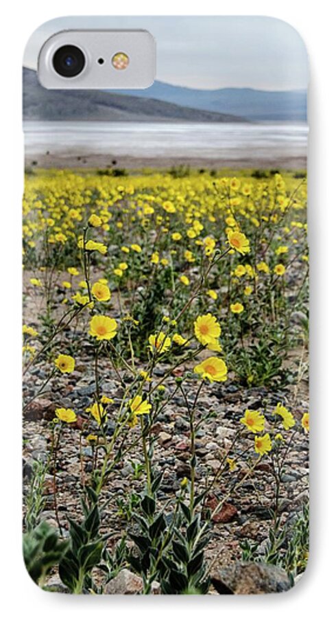 Desert iPhone 7 Case featuring the photograph Death Valley Super bloom by Gaelyn Olmsted