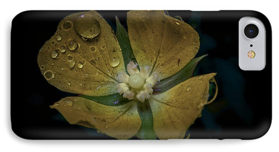 Macro iPhone 7 Case featuring the photograph Dew to Drought 546 by Karen Musick