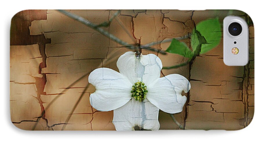 Dogwood iPhone 7 Case featuring the photograph Dogwood Bloom by Cathy Harper