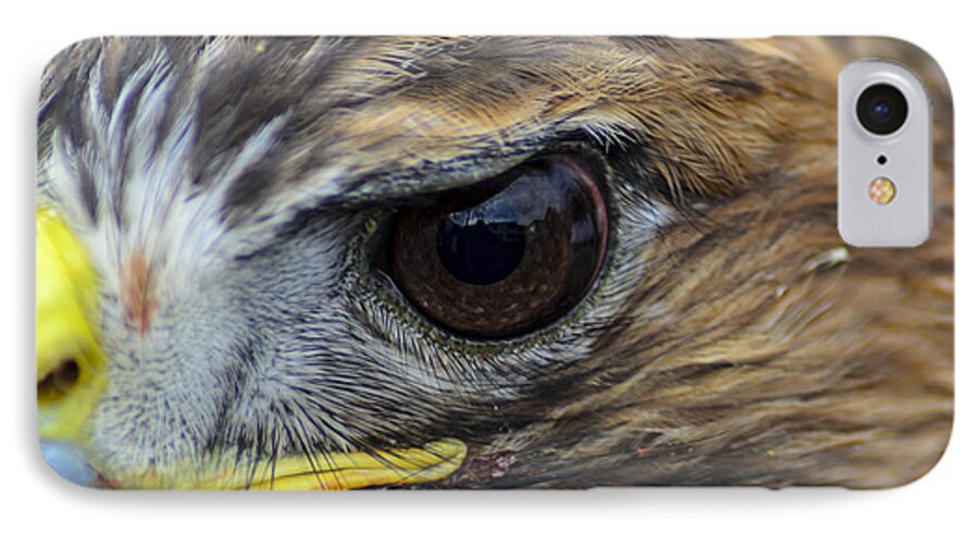 Eye iPhone 7 Case featuring the photograph Eagle Eye by Rainer Kersten