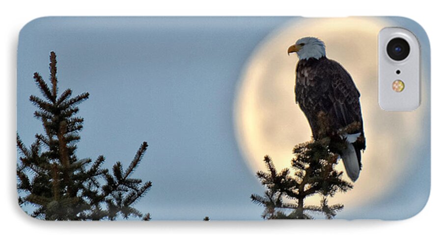 Eagle iPhone 7 Case featuring the photograph Eagle Moon by Fiskr Larsen