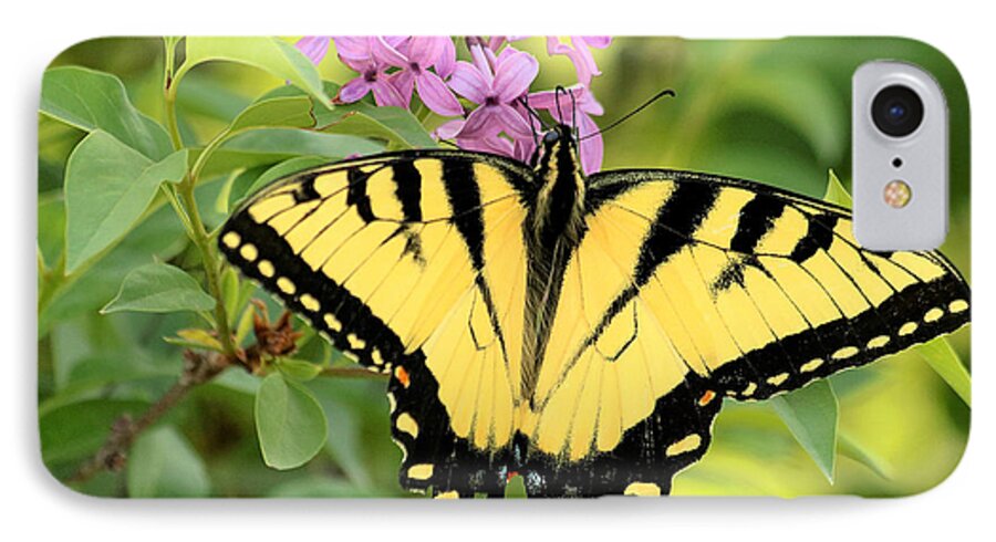 Nature iPhone 7 Case featuring the photograph Eastern Tiger Swallowtail Butterfly by Sheila Brown