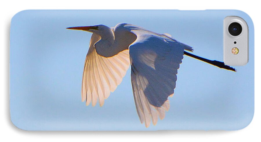 Egret iPhone 7 Case featuring the photograph Egret in Silhouette by Josephine Buschman