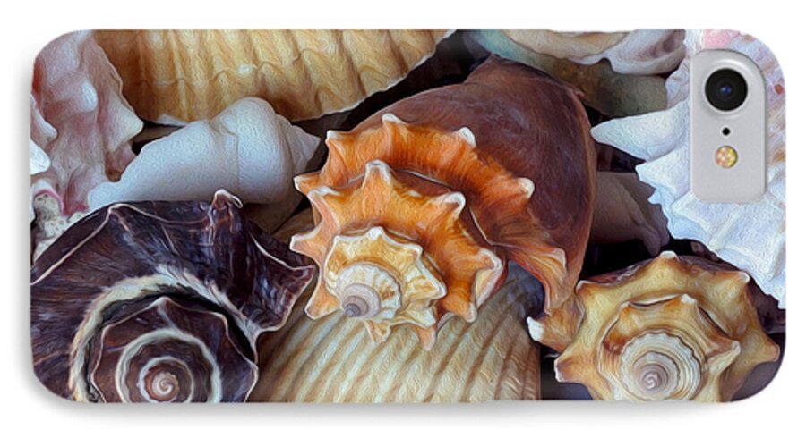 Shells iPhone 7 Case featuring the photograph Elegant Companions by Lynda Lehmann