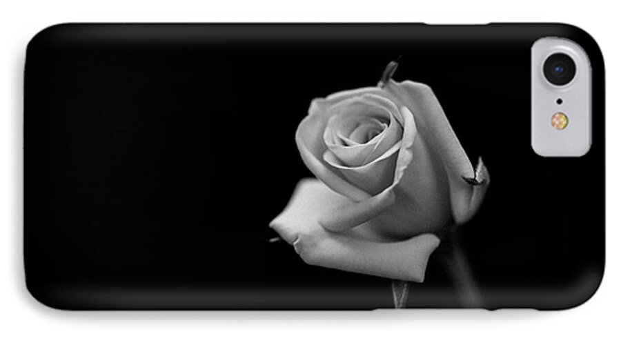 Flower iPhone 7 Case featuring the photograph Elegant by Hyuntae Kim
