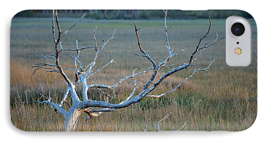 Jekyll Island iPhone 7 Case featuring the photograph Elk-like Tree on Jekyll Island by Bruce Gourley