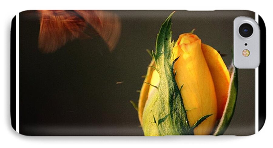 Rose iPhone 7 Case featuring the photograph Escape by KayeCee Spain