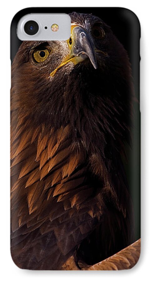 European Golden Eagle iPhone 7 Case featuring the photograph European Golden Eagle by JT Lewis