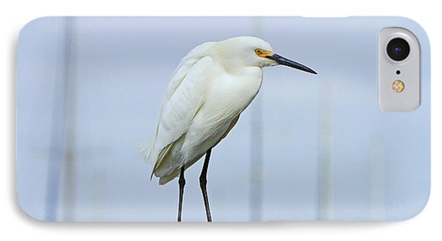 Egret iPhone 7 Case featuring the photograph Ever Watchful by Shoal Hollingsworth