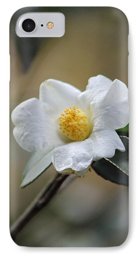 Flower iPhone 7 Case featuring the photograph Exposed by Deborah Crew-Johnson