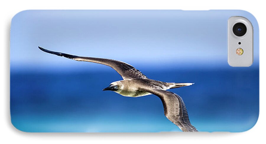 Bird iPhone 7 Case featuring the photograph Eye Contact by Sean Davey