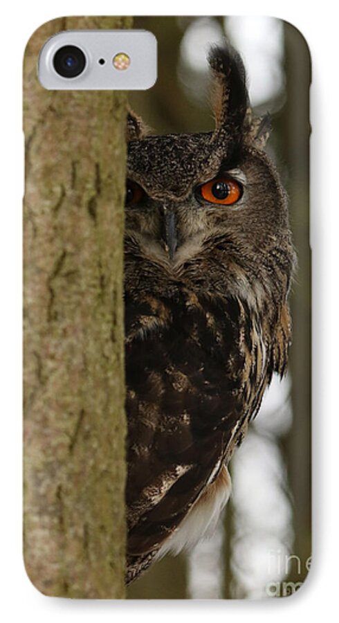 Owls iPhone 7 Case featuring the photograph Eye Spy by Heather King