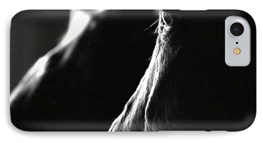 Horse iPhone 7 Case featuring the photograph Eye Squared by Angela Rath