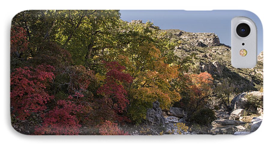 Guadalupe Mountains iPhone 7 Case featuring the photograph Fall Foliage in the Guadalupes by Melany Sarafis