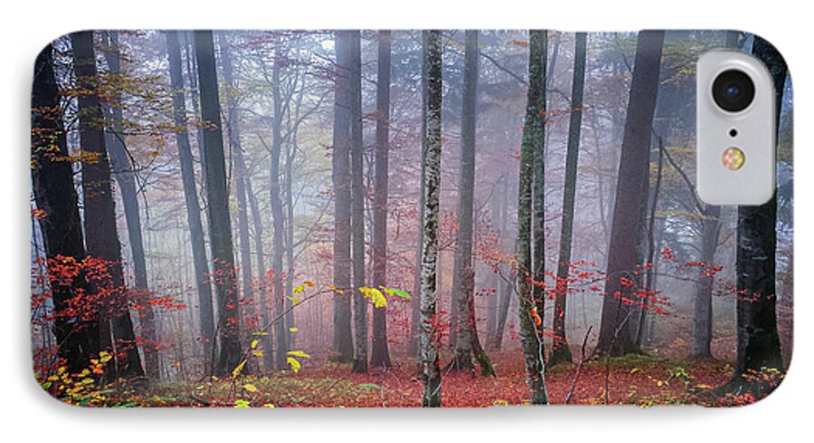 Forest iPhone 7 Case featuring the photograph Fall forest in fog by Elena Elisseeva
