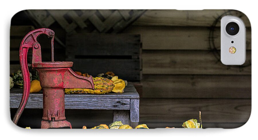 Water Pump iPhone 7 Case featuring the photograph Fall Gourds by Richard Macquade