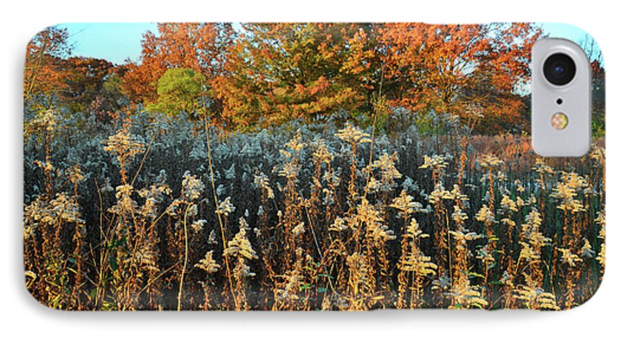 Illinois iPhone 7 Case featuring the photograph Fall Prairie in Moraine Hills by Ray Mathis