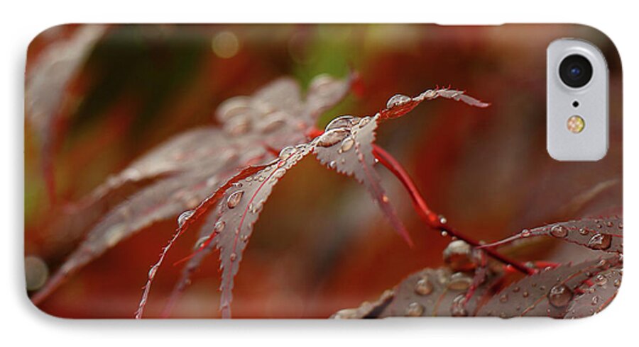 Leaf iPhone 7 Case featuring the photograph Fall Rain by Les Greenwood