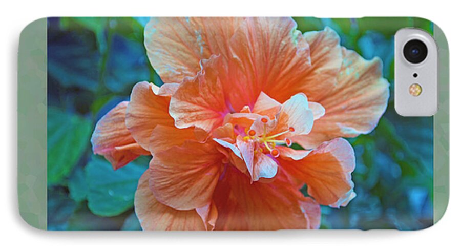 Hibiscus iPhone 7 Case featuring the photograph Fancy Peach Hibiscus by Sandi OReilly