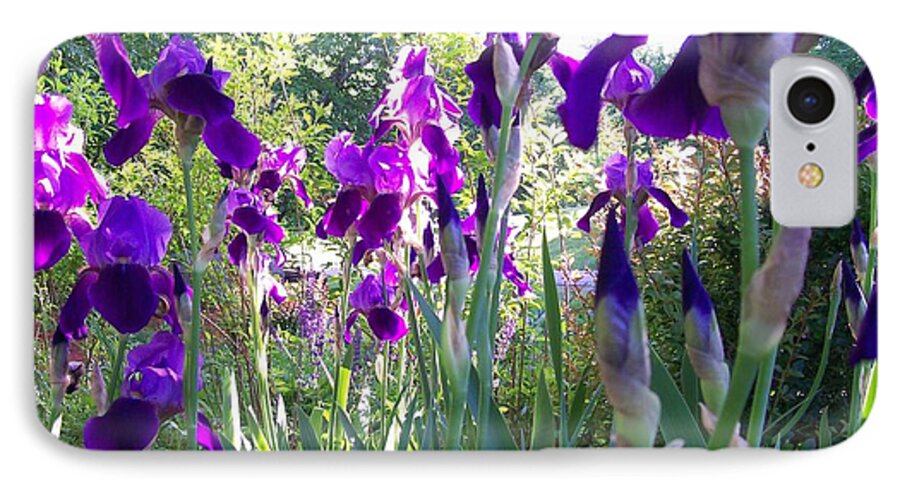 Photography iPhone 7 Case featuring the digital art Field of Irises by Barbara S Nickerson