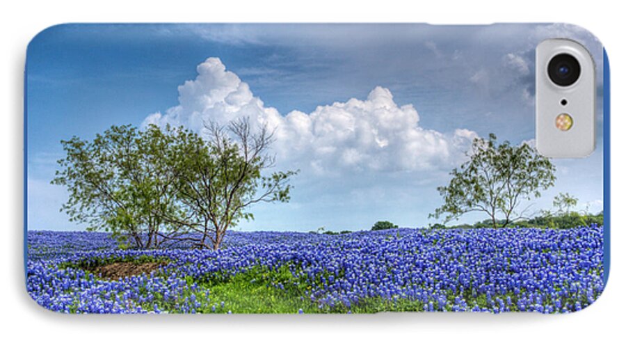 Bloom iPhone 7 Case featuring the photograph Field of Texas Bluebonnets by David and Carol Kelly