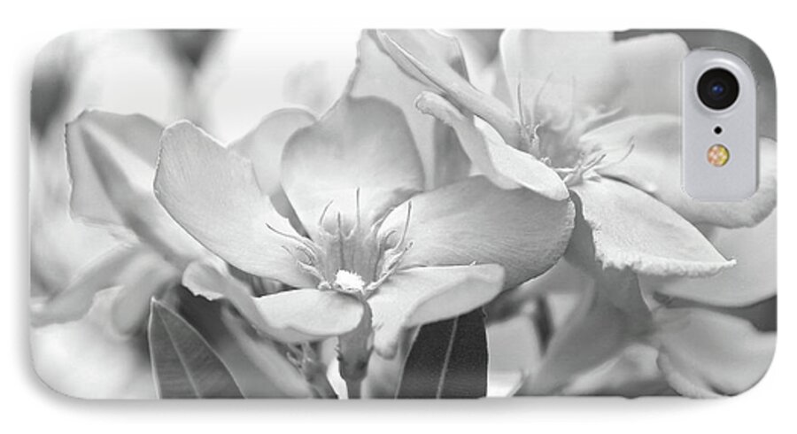 Oleander iPhone 7 Case featuring the photograph Firewalker SW1 by Wilhelm Hufnagl