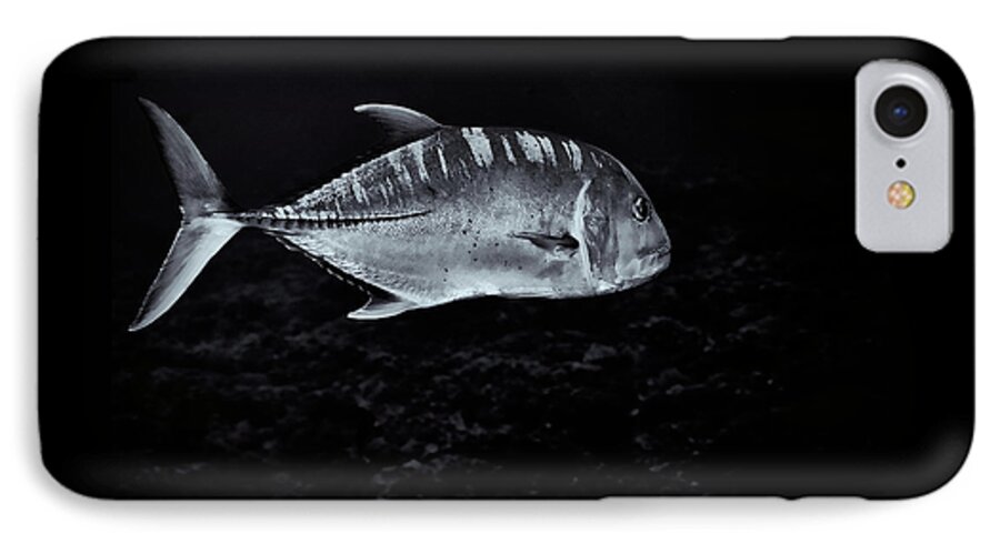Marine Life iPhone 7 Case featuring the photograph FLA-150811-ND800E-26063-bw-selenium by Fernando Lopez Arbarello