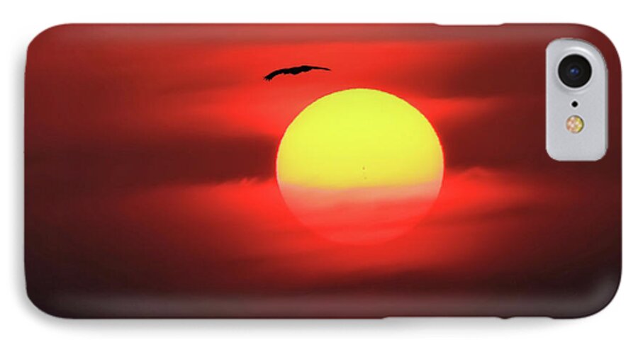 Sun iPhone 7 Case featuring the photograph Flight to the Sun by Roger Becker