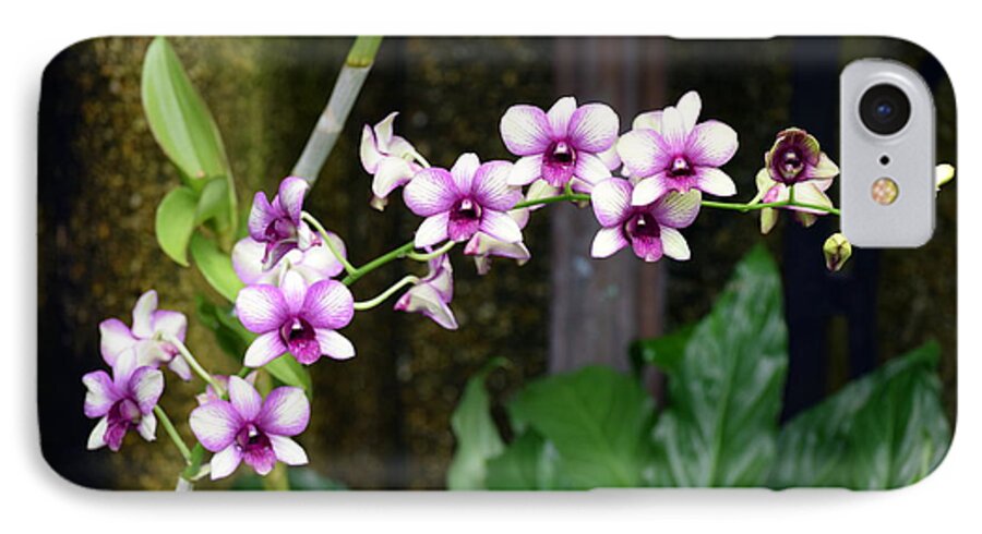 Orchid iPhone 7 Case featuring the photograph Floral Sway by Deborah Crew-Johnson