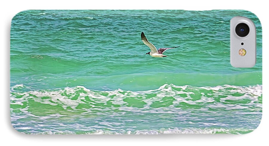 Gulf Of Mexico iPhone 7 Case featuring the photograph Flying Solo by HH Photography of Florida