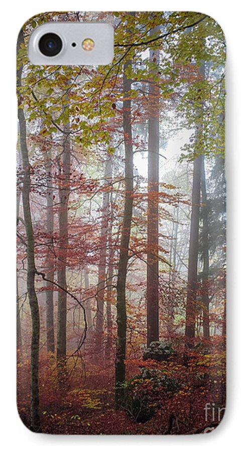 Forest iPhone 7 Case featuring the photograph Fog in autumn forest by Elena Elisseeva