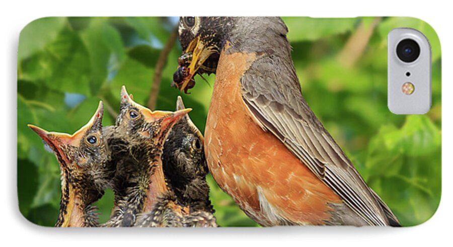 Robins iPhone 7 Case featuring the photograph Food, Glorious Food by Joni Eskridge