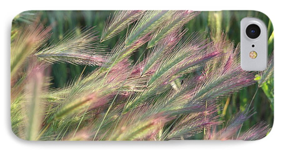 Foxtails iPhone 7 Case featuring the photograph Foxtails in Spring by Michele Myers