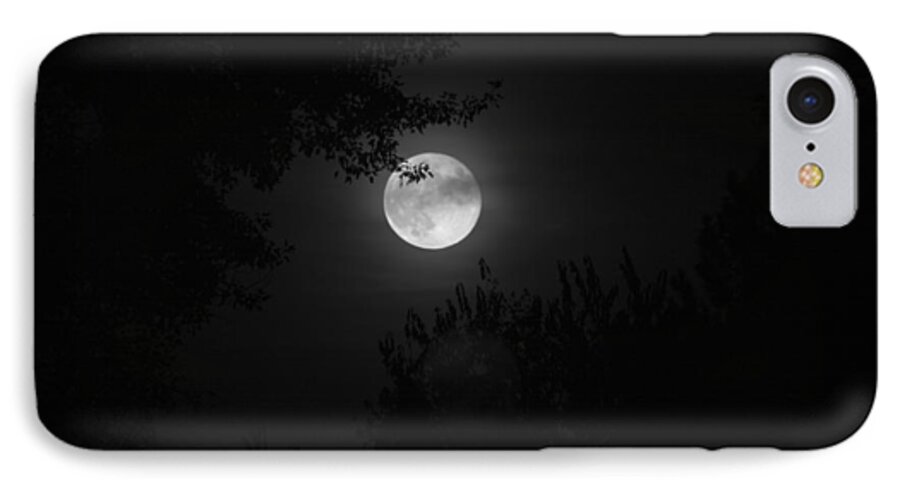 Full Moon iPhone 7 Case featuring the photograph Full Moon With Branches by Stephen Holst