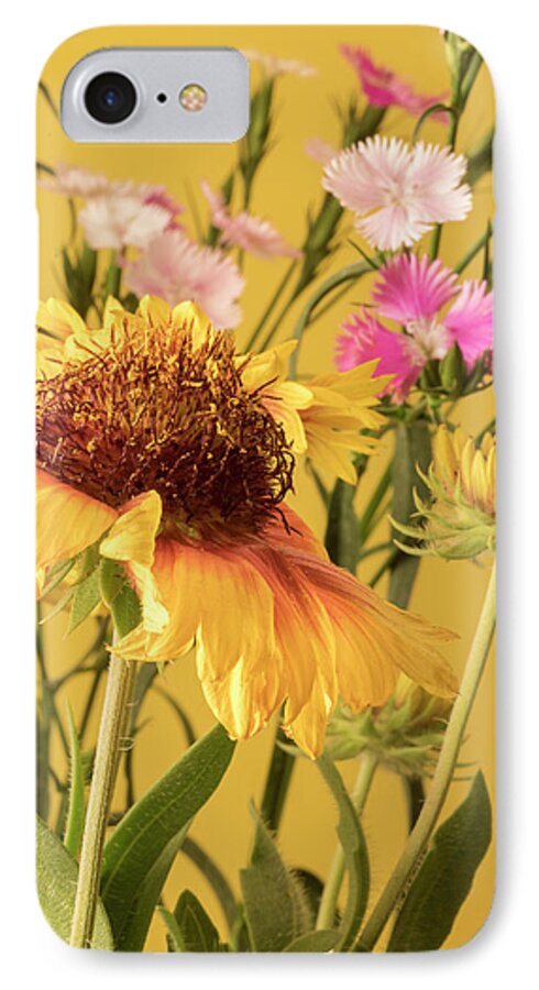 Gaillardia's iPhone 7 Case featuring the photograph Gaillardia and Dianthus by Richard Rizzo