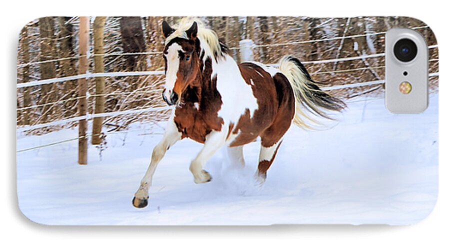 Hazel iPhone 7 Case featuring the photograph Galloping in the Snow by Elizabeth Dow