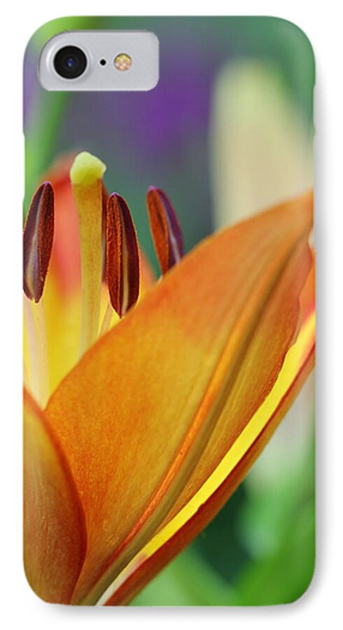 Flower iPhone 7 Case featuring the photograph Garden Delight by Deborah Crew-Johnson