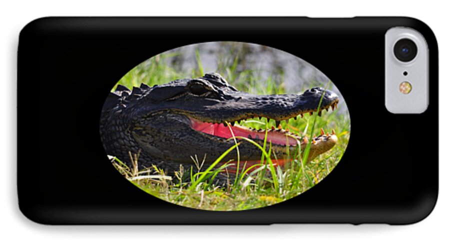 Alligator iPhone 7 Case featuring the photograph Gator Grin .png by Al Powell Photography USA