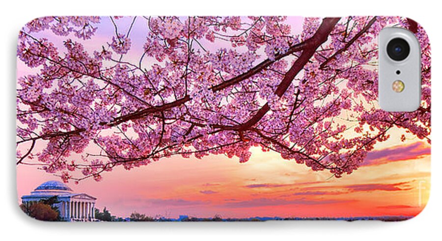 Washington iPhone 7 Case featuring the photograph Glorious Sunset over Cherry Tree at the Jefferson Memorial by Olivier Le Queinec