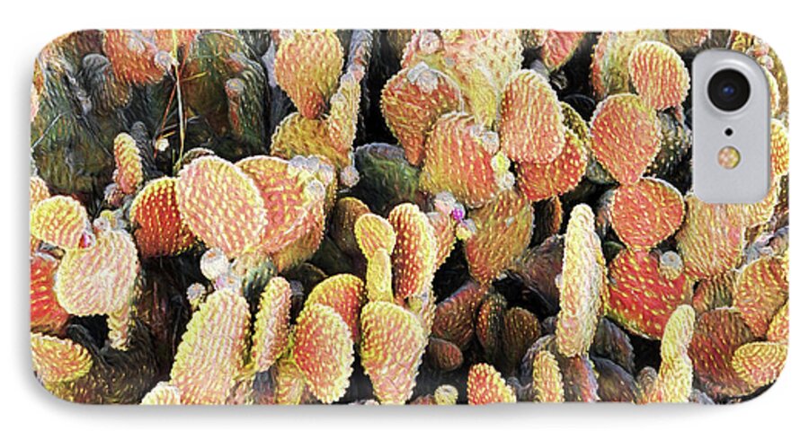 Cactus iPhone 7 Case featuring the photograph Golden Beaver Tail Catcus by Linda Phelps